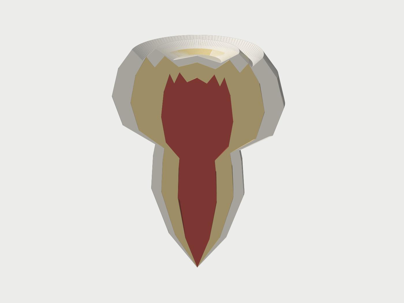 Render of the print file: cross-section model of a tooth showing enamel, dentin and pulp layers